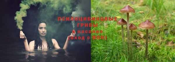 дмт Абинск