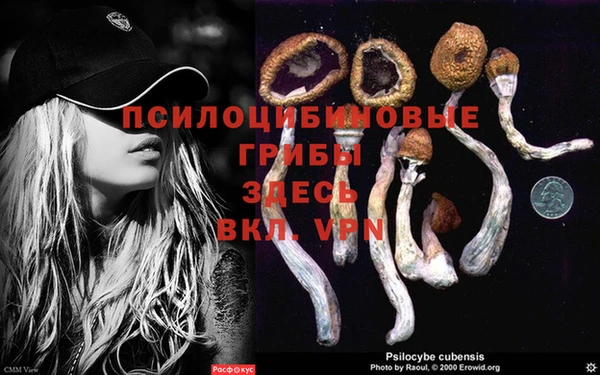 дмт Абинск