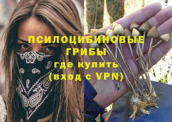 экстази Абаза