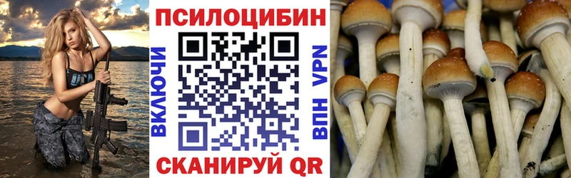 купить  цена  Новомичуринск  Галлюциногенные грибы Magic Shrooms 